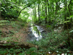 Monmouthshire Canal at Celynen South Colliery, Abercarn, July 2012
